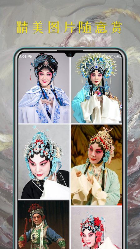 豫剧迷截图2