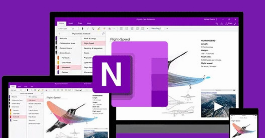Microsoft OneNote截图1