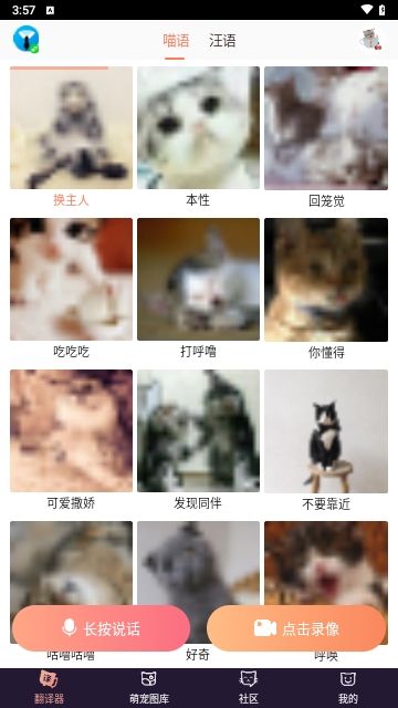 猫语翻译器截图1