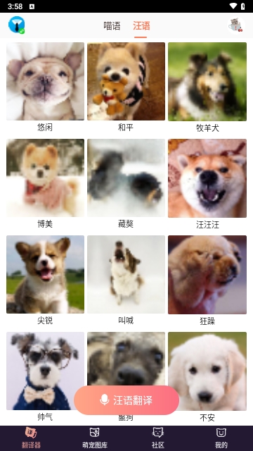 猫语翻译器截图3