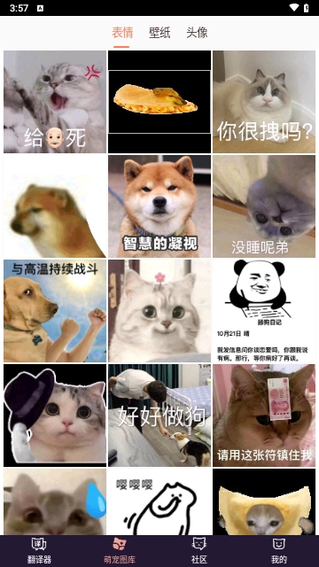 猫语翻译器截图2