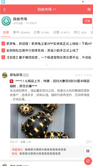 灵龟之家截图2