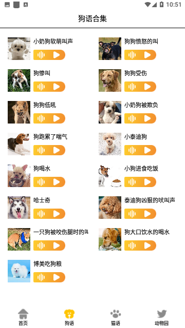 猫狗语翻译交流器截图2