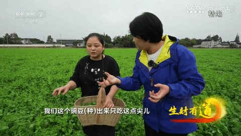 简单电视直播截图2