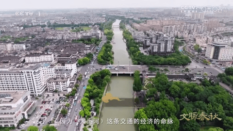 简单电视直播截图3