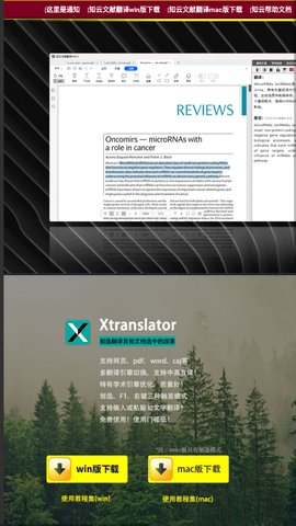 知云文献翻译截图1