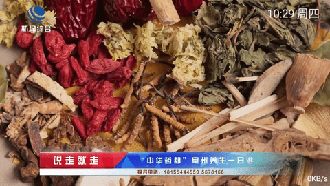 蓝猫TV截图3