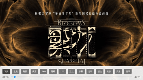 小手冰凉TV截图3