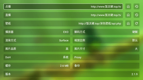 小手冰凉TV截图2