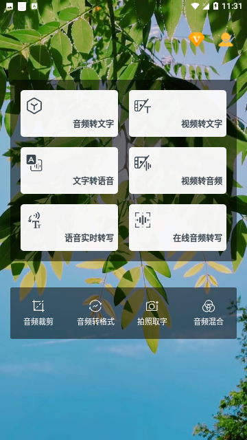 音频转文字助手截图3