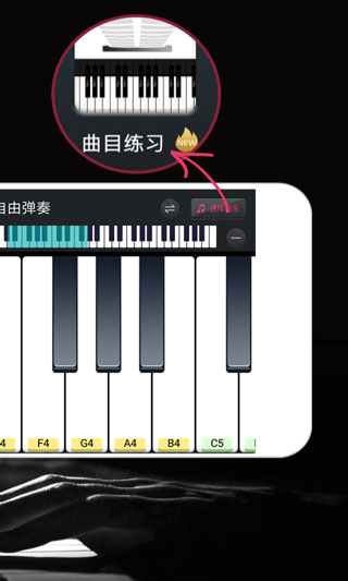 模拟钢琴键盘截图1