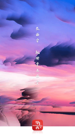 掌上西宁截图3
