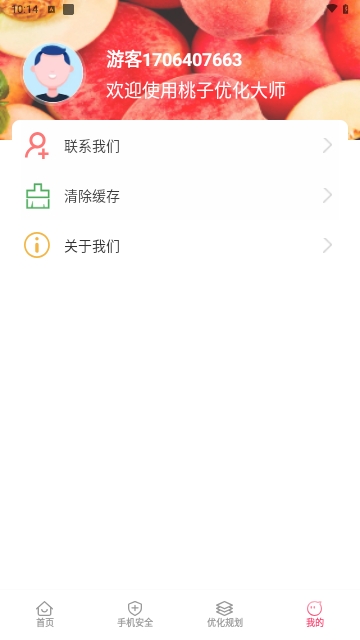 桃子优化大师截图1