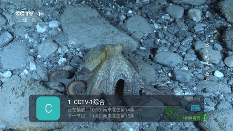 免费DIYP直播截图2