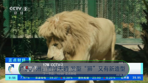 随风直播TV版截图2