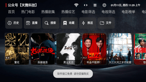 飞龙影视TV截图1