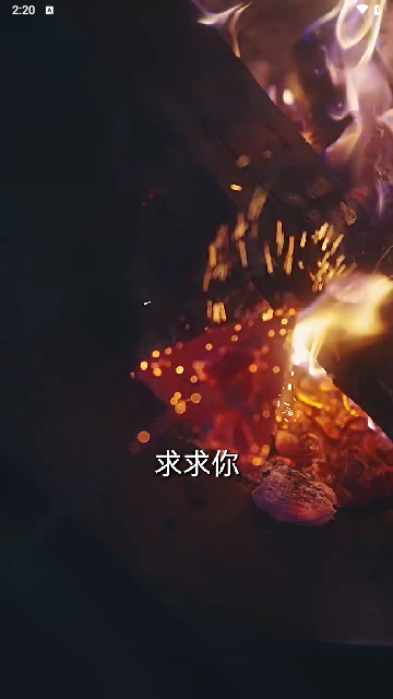 八荒视频截图2