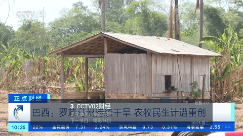 家用TV截图2