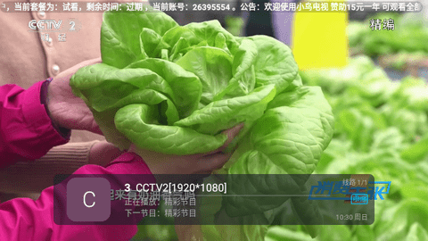 小鸟电视截图3