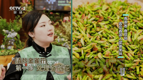 西夏TV0409截图2
