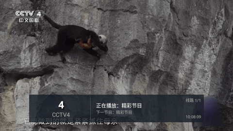 七星ITV截图3