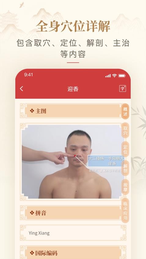 人体穴位图解破解版截图1