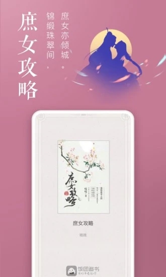 饭团追书截图1