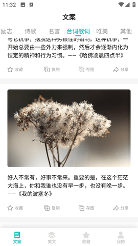文案素材之家截图3