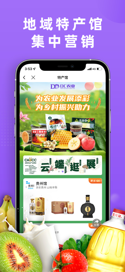 DC网截图2