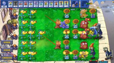 植物大战僵尸星座版