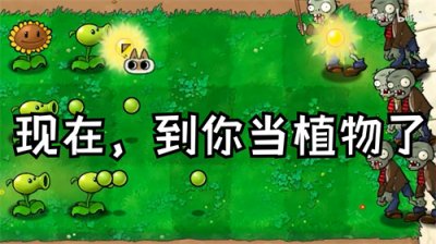 植物大战僵尸繁琐版截图1
